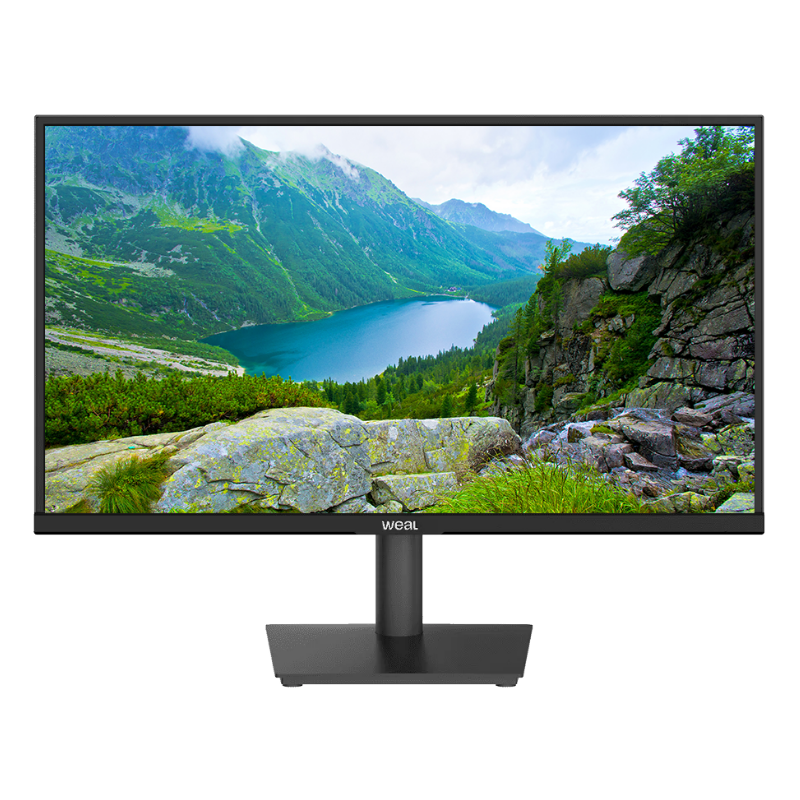 Monitor WEAL 21.5" Base Fixa VA 100Hz HDMI VGA